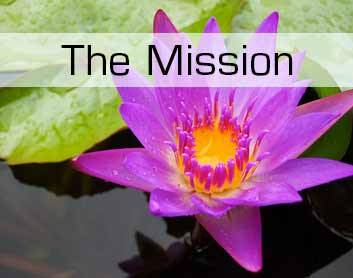 A link to Thomas M Thurston's Mission Statement