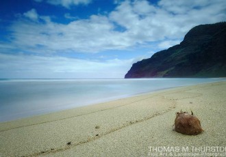 A coconut sits on Polihale Beach in Kauai, Hawaii. The water is still, the sky is blue with clouds passing by the Na Pali Coast.
