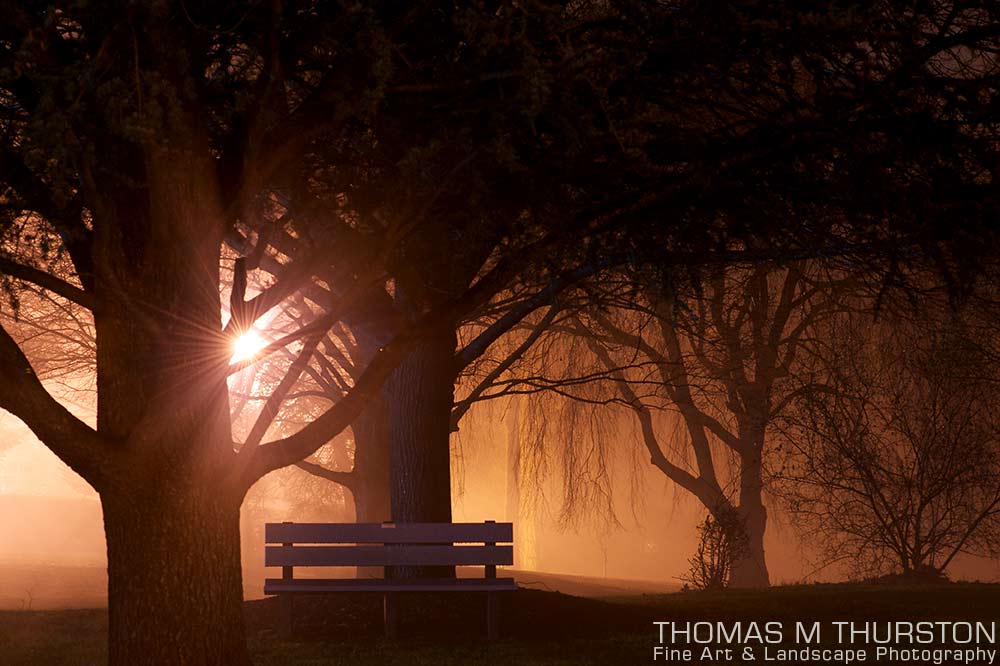 A dimly lit park covered in thick fog at night with a starburst of light through one of the tree branches. A park bench sits beneath covered in water from the fog.