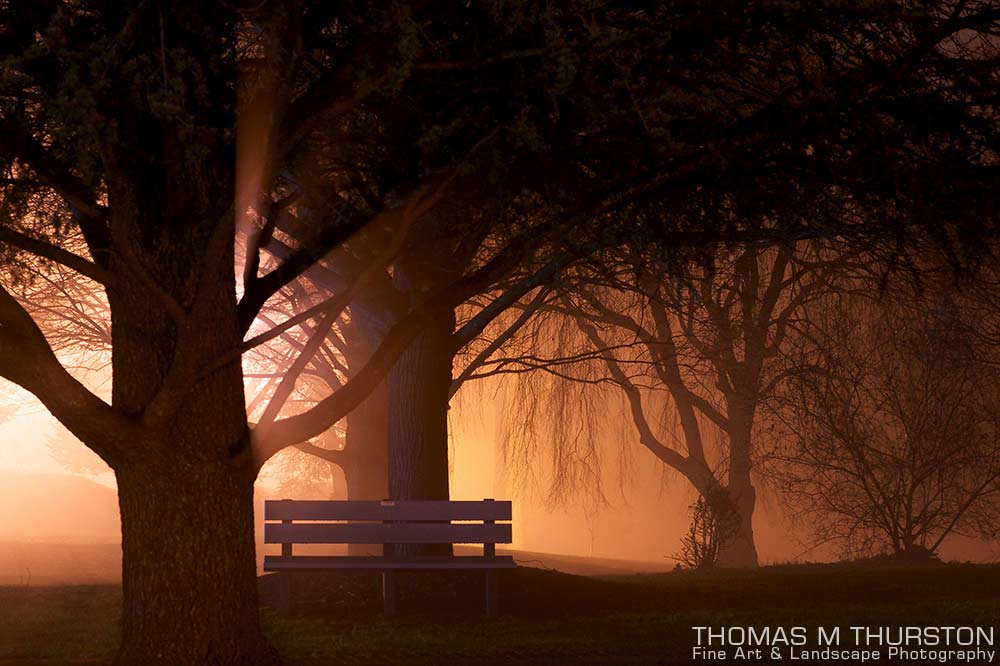 An ominous night with a dense fog at the Morris Plains Public Library Park. Bare trees hang over a wet park bench with light illuminating the fog.
